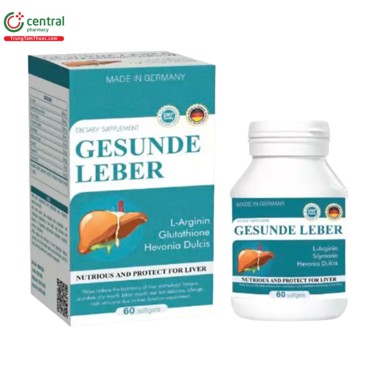 gesunde leber 1 A0711