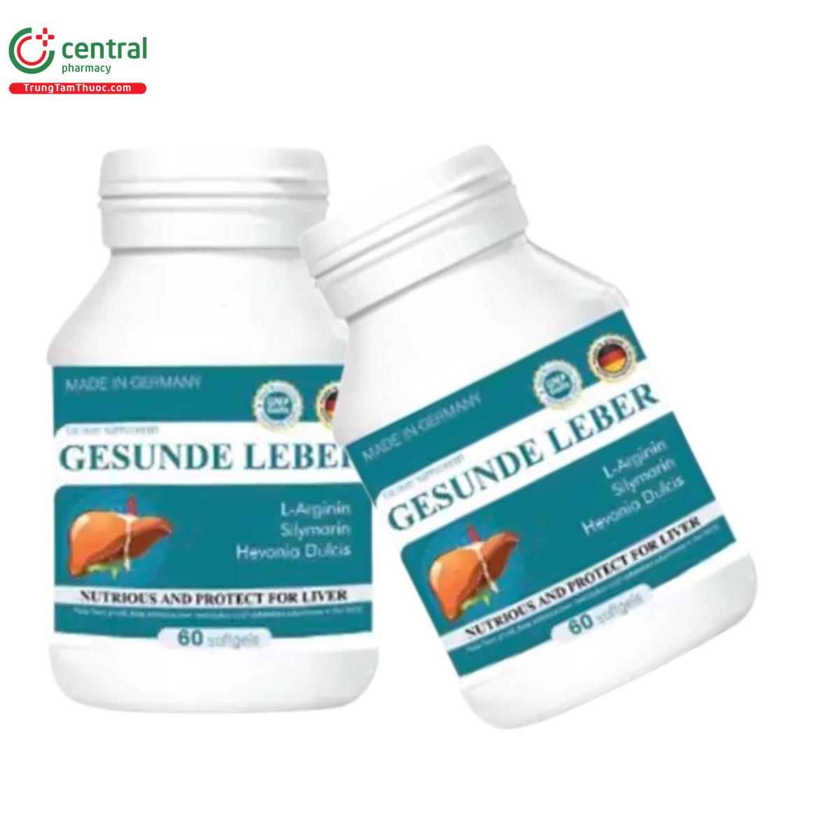 gesunde leber 2 G2447