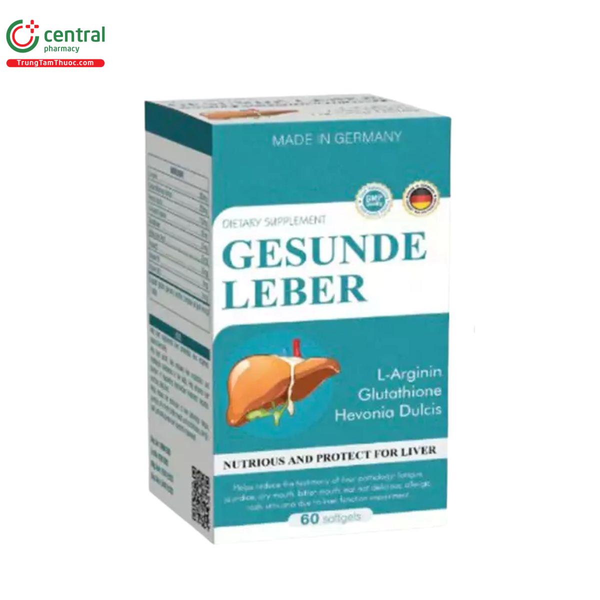 gesunde leber 3 J4536