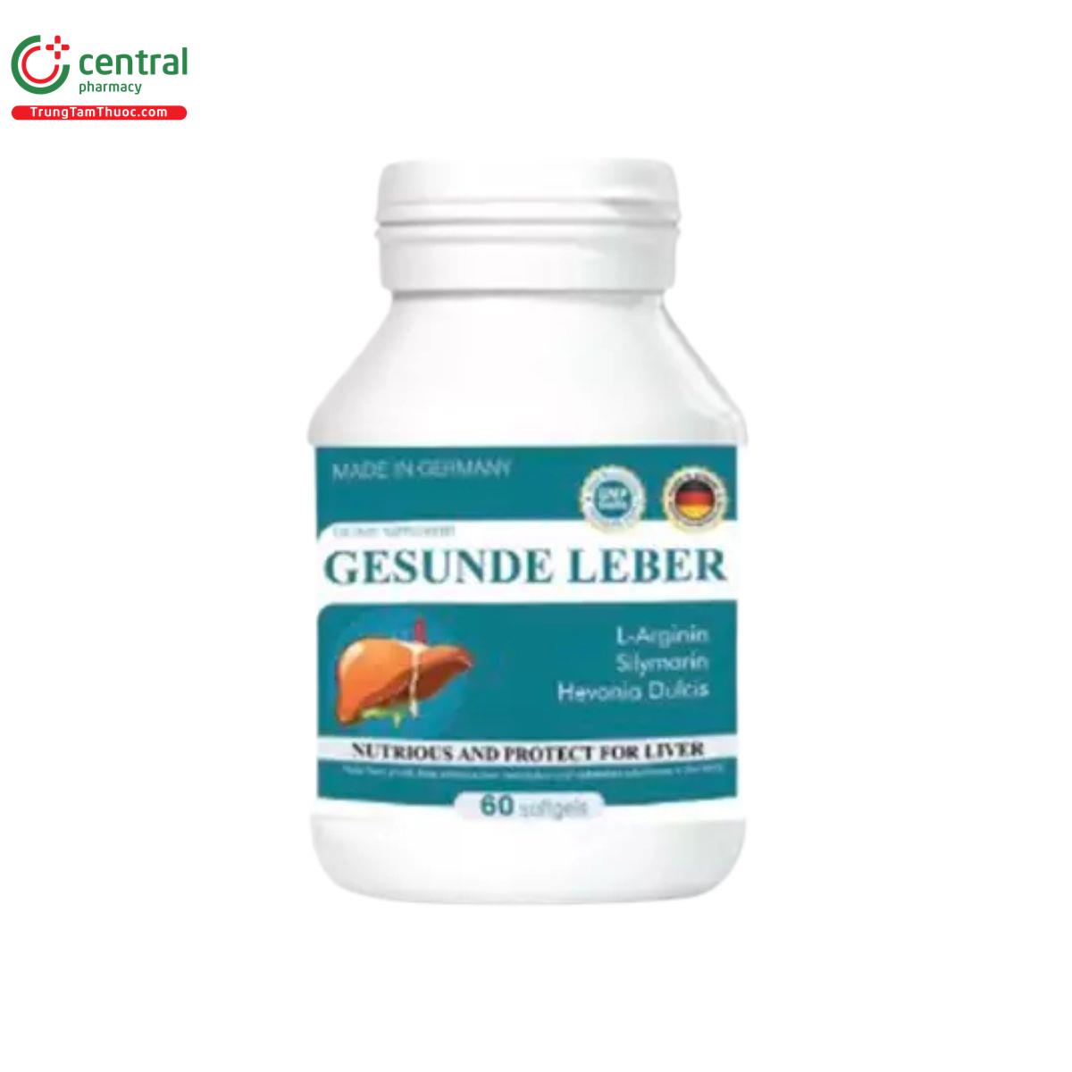 gesunde leber 4 Q6263