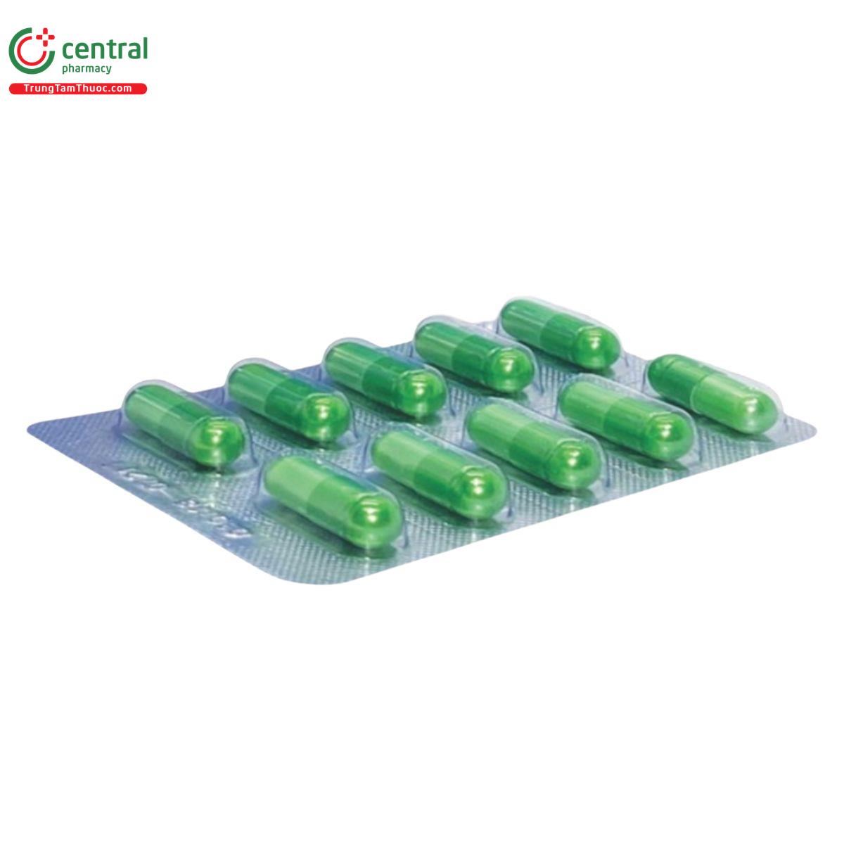 giac mo an 2 M5205 giac mo an 2 M5205