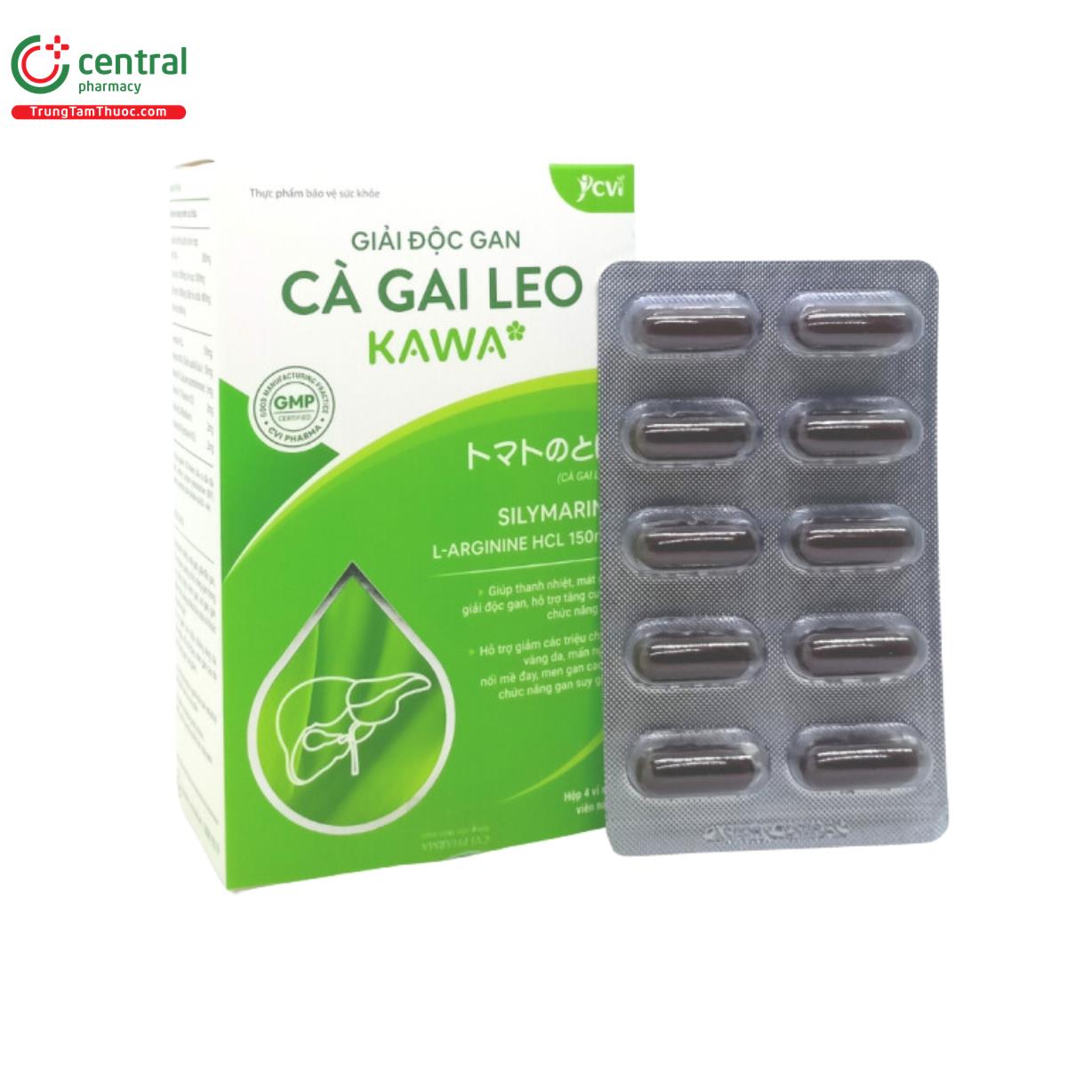 giai doc gan ca gai leo kawa 5 E1543