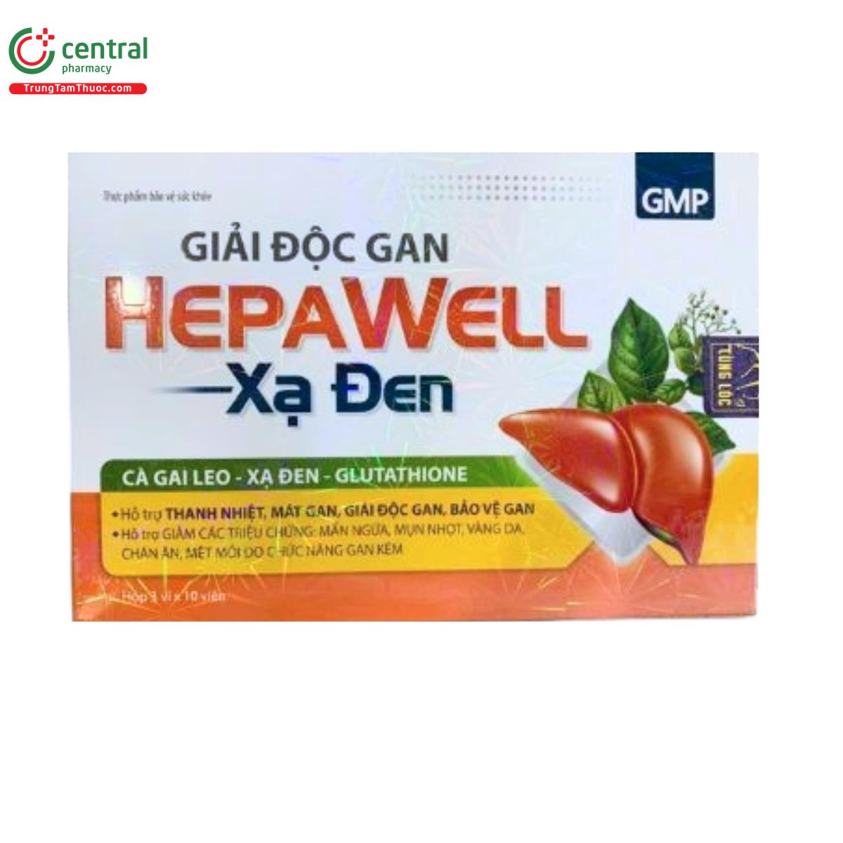 giai doc gan hepawell 1 H3700