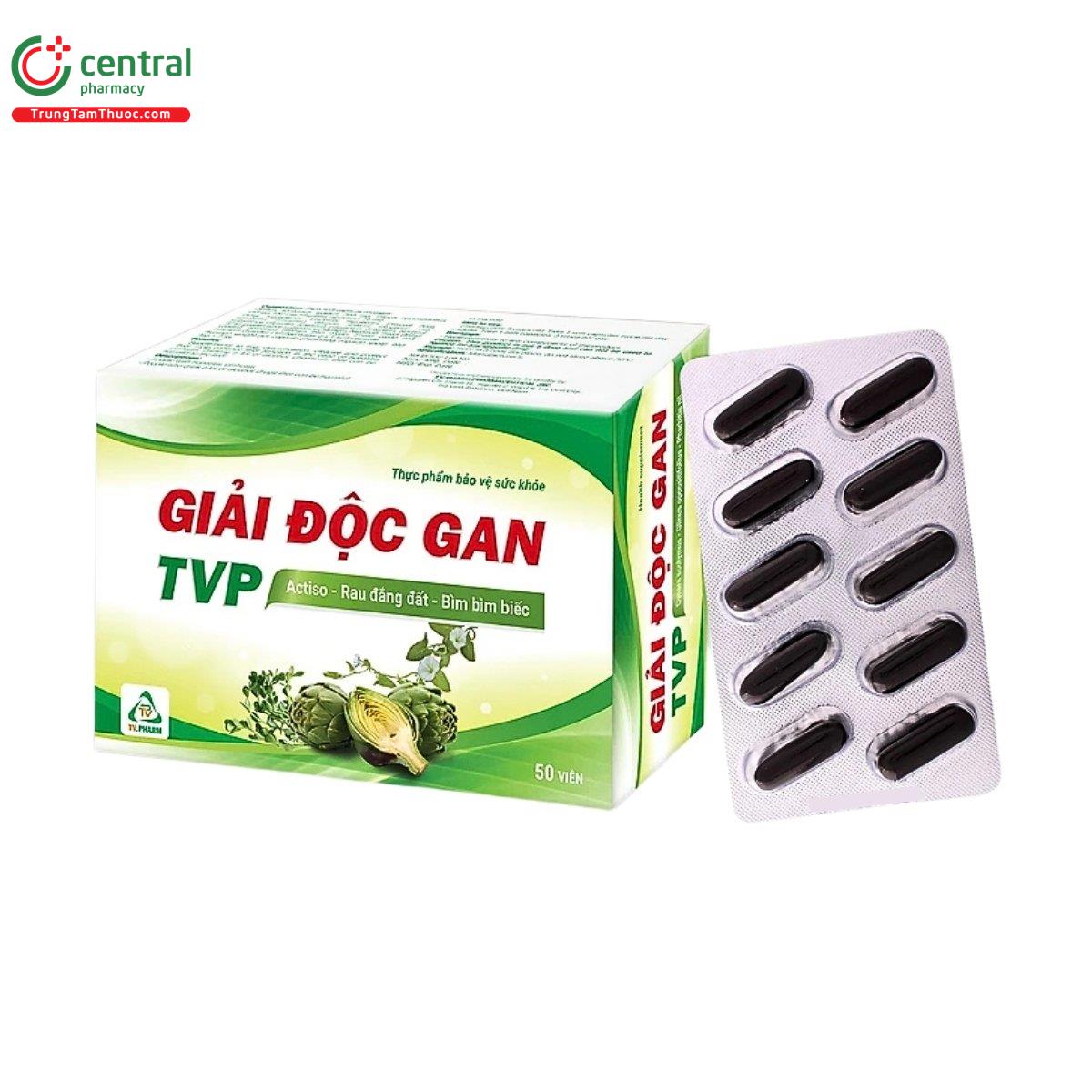 giai doc gan tvp 2 H2713