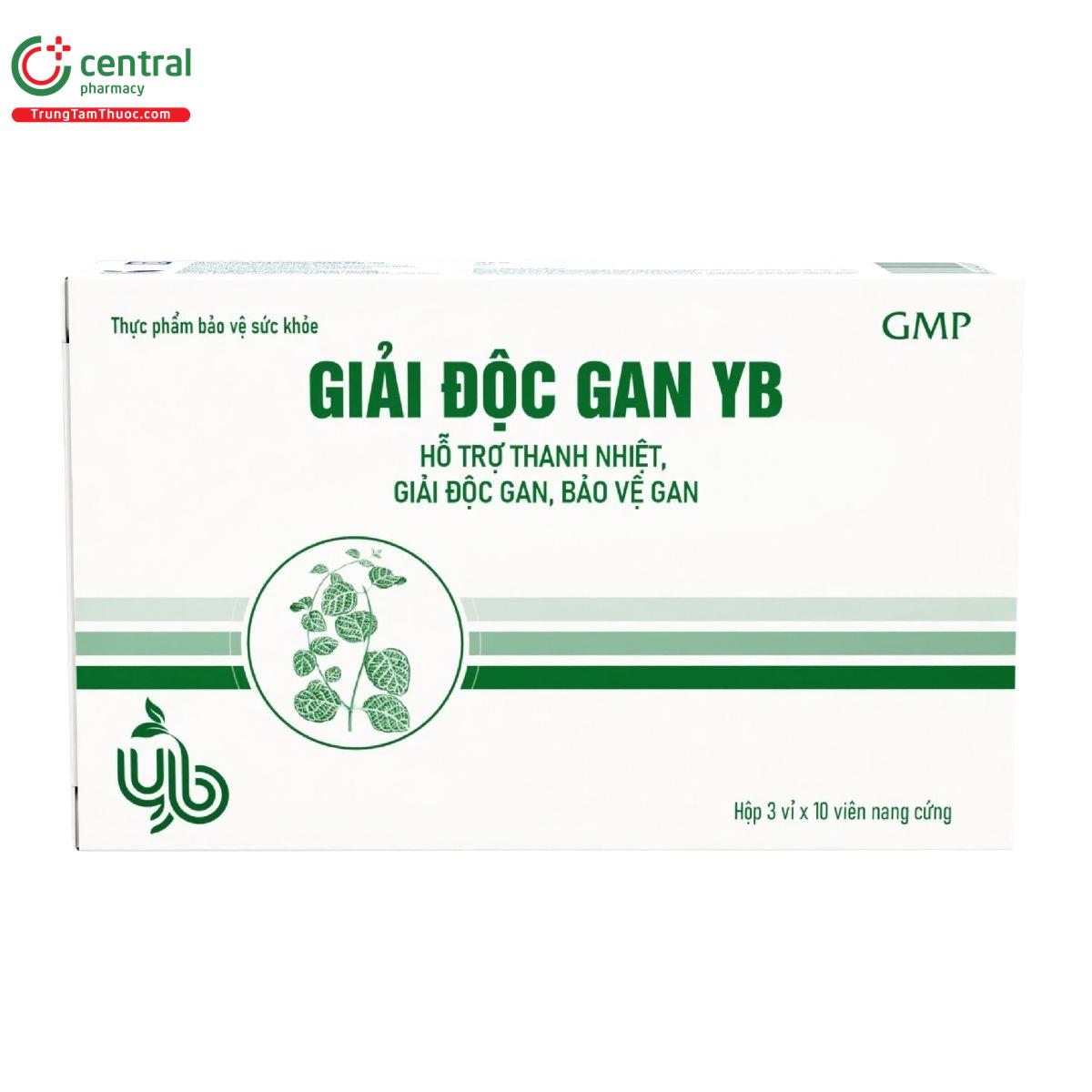 giai doc gan yb 2 L4867