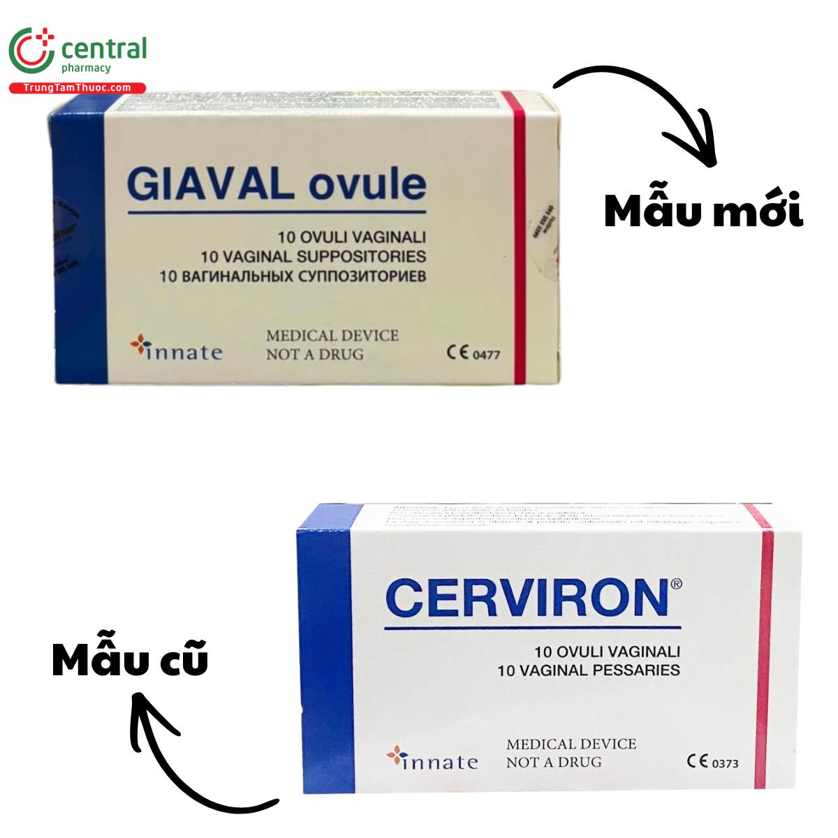 giaval ovule 10 U8543 giaval ovule 10 U8543