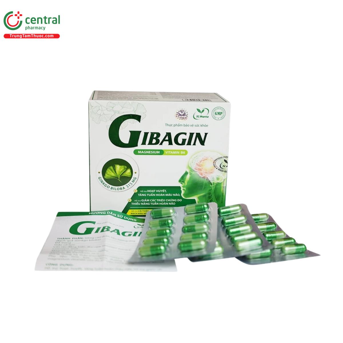 gibagin 1 R7004