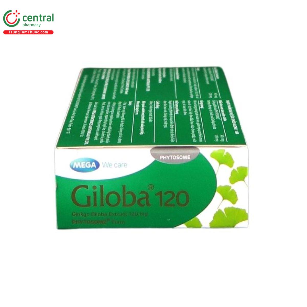 giloba 120 7 T7101