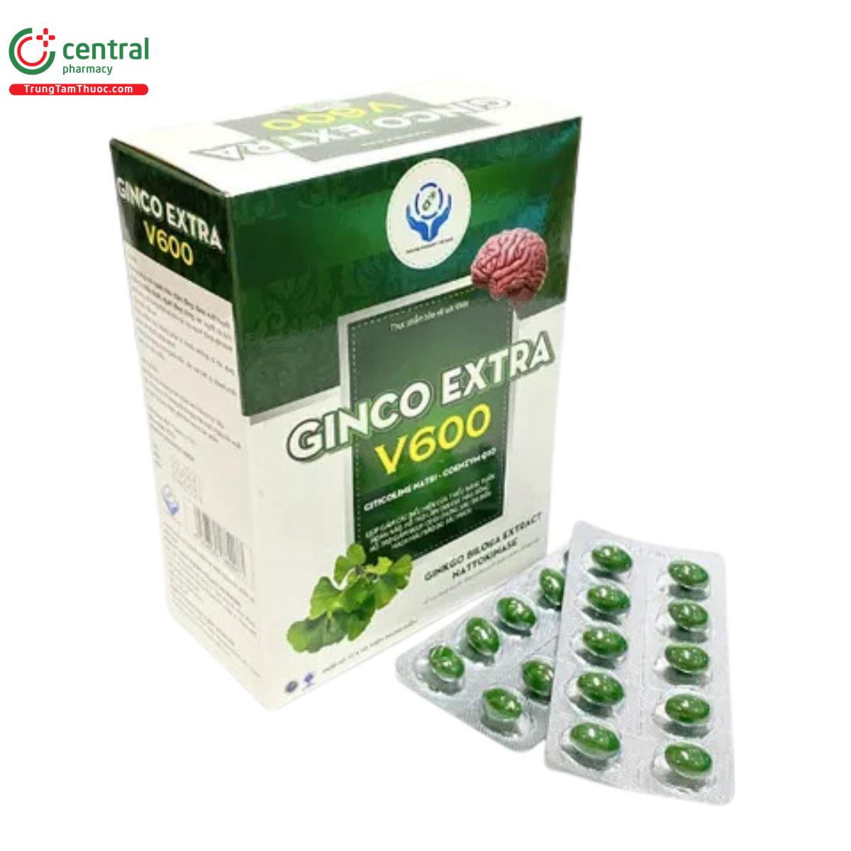 ginco extra v600 3 C1641