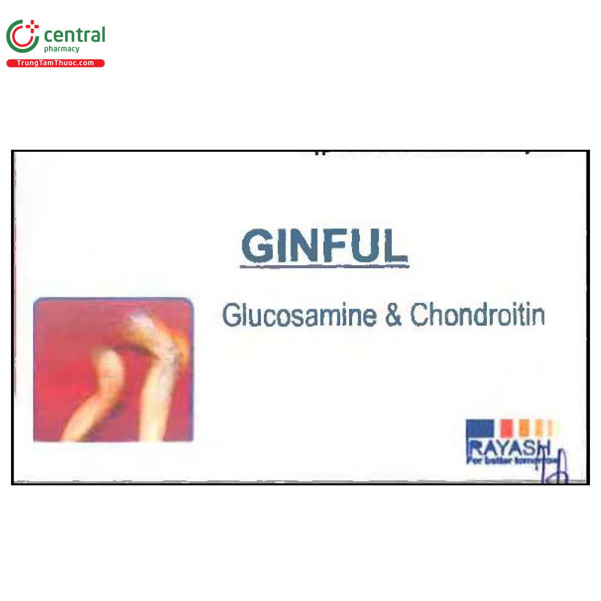 ginful 1 A0861 ginful 1 A0861