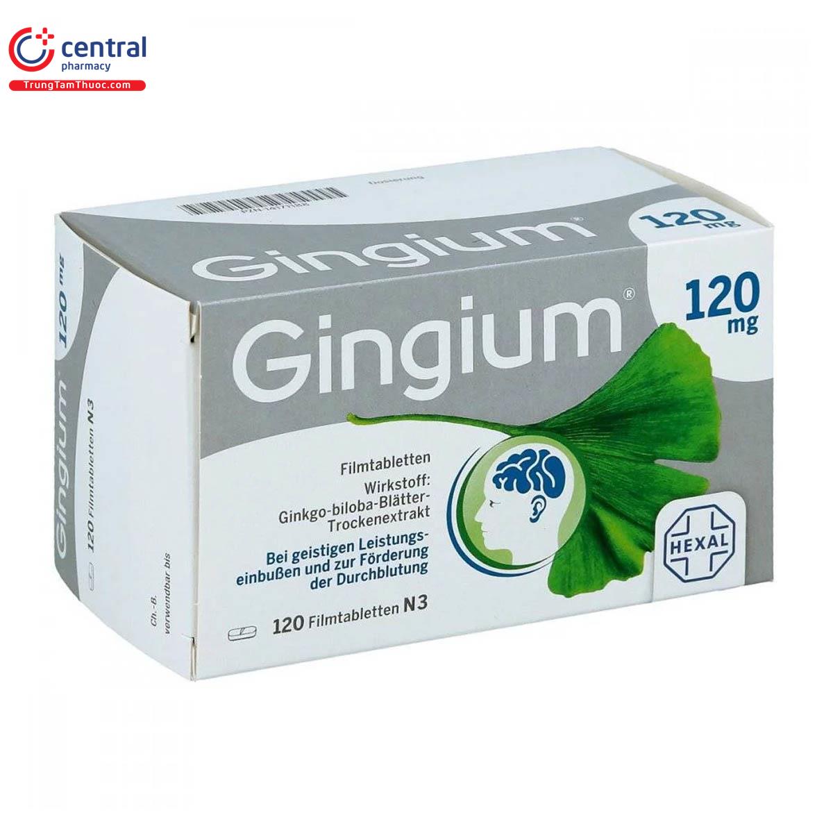 gingium 120mg 1 P6882