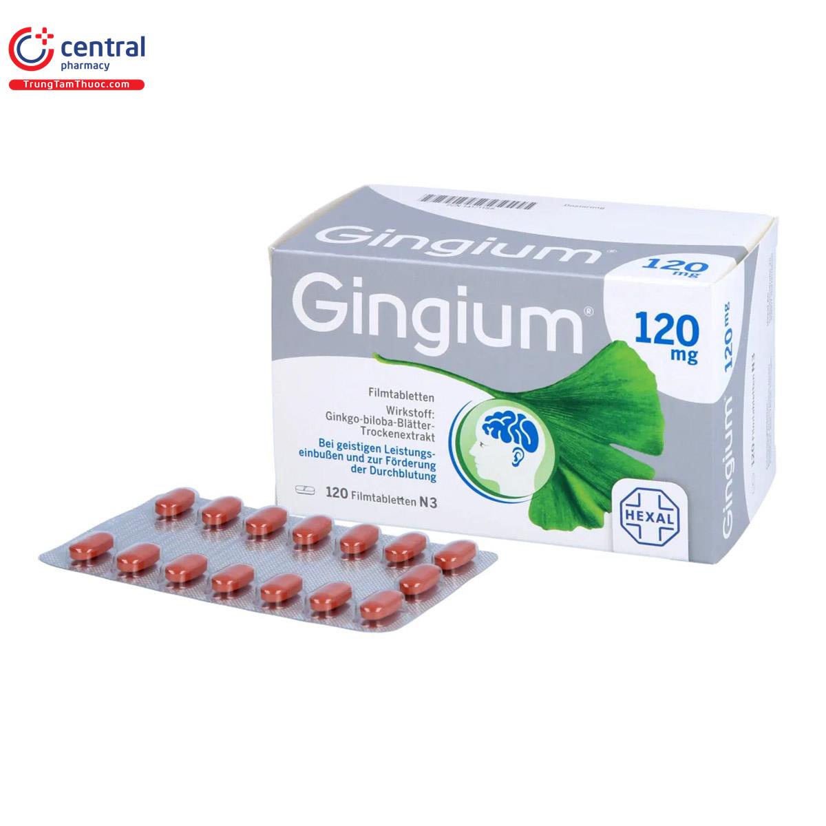 gingium 120mg 10 D1130