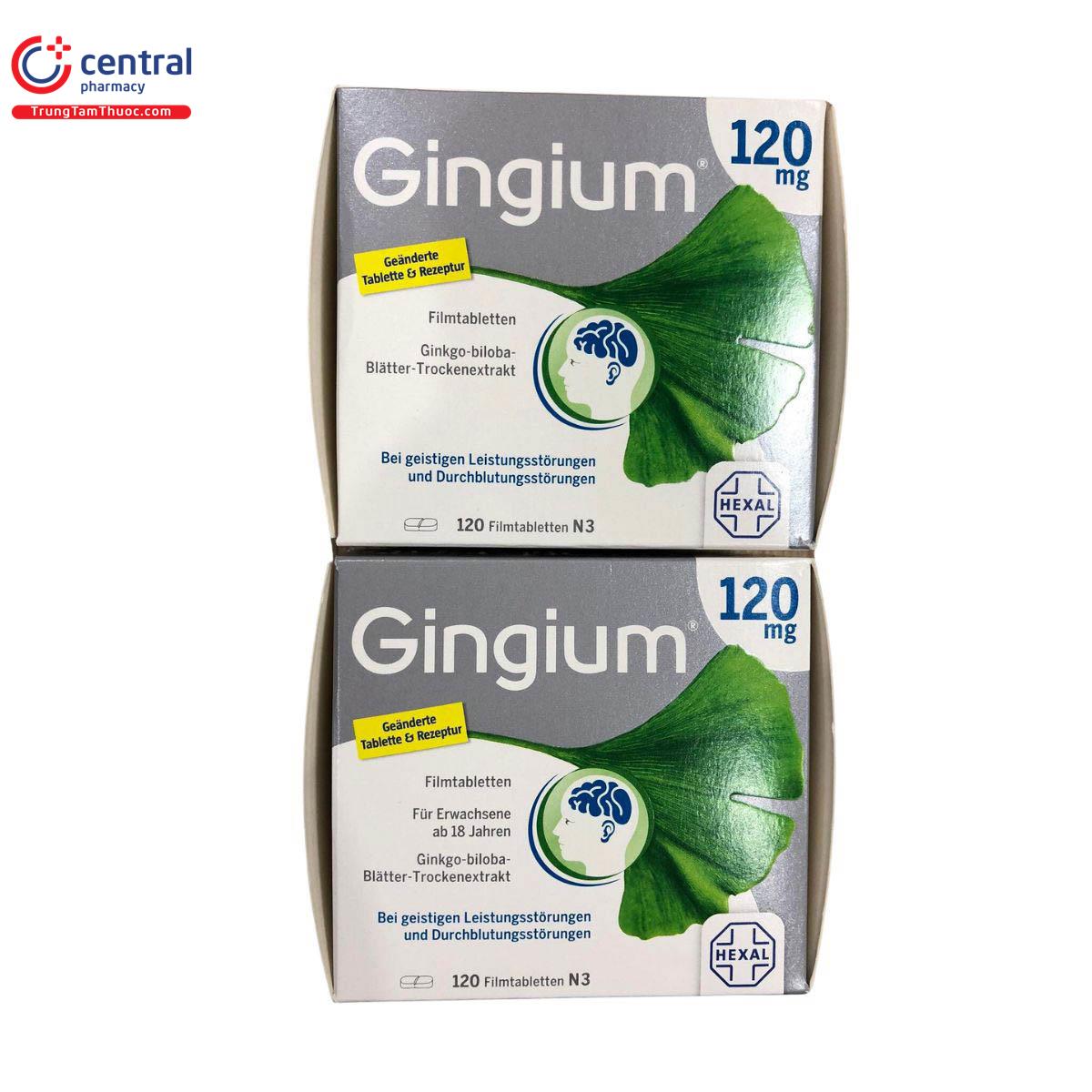 gingium 120mg 3 Q6451