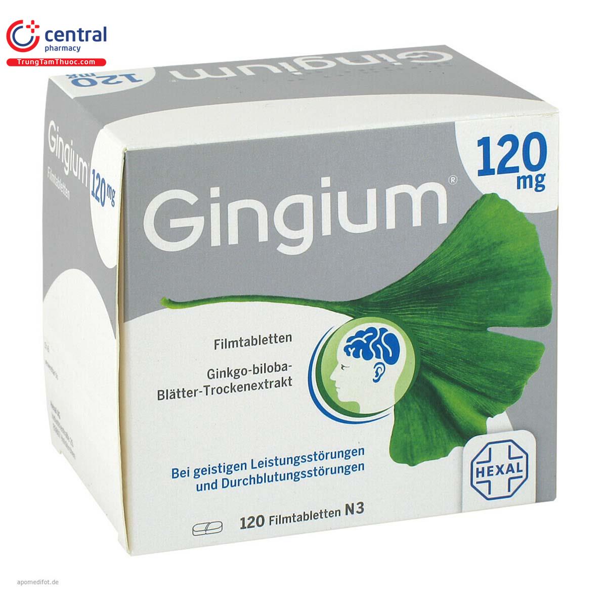 gingium 120mg 6 G2441