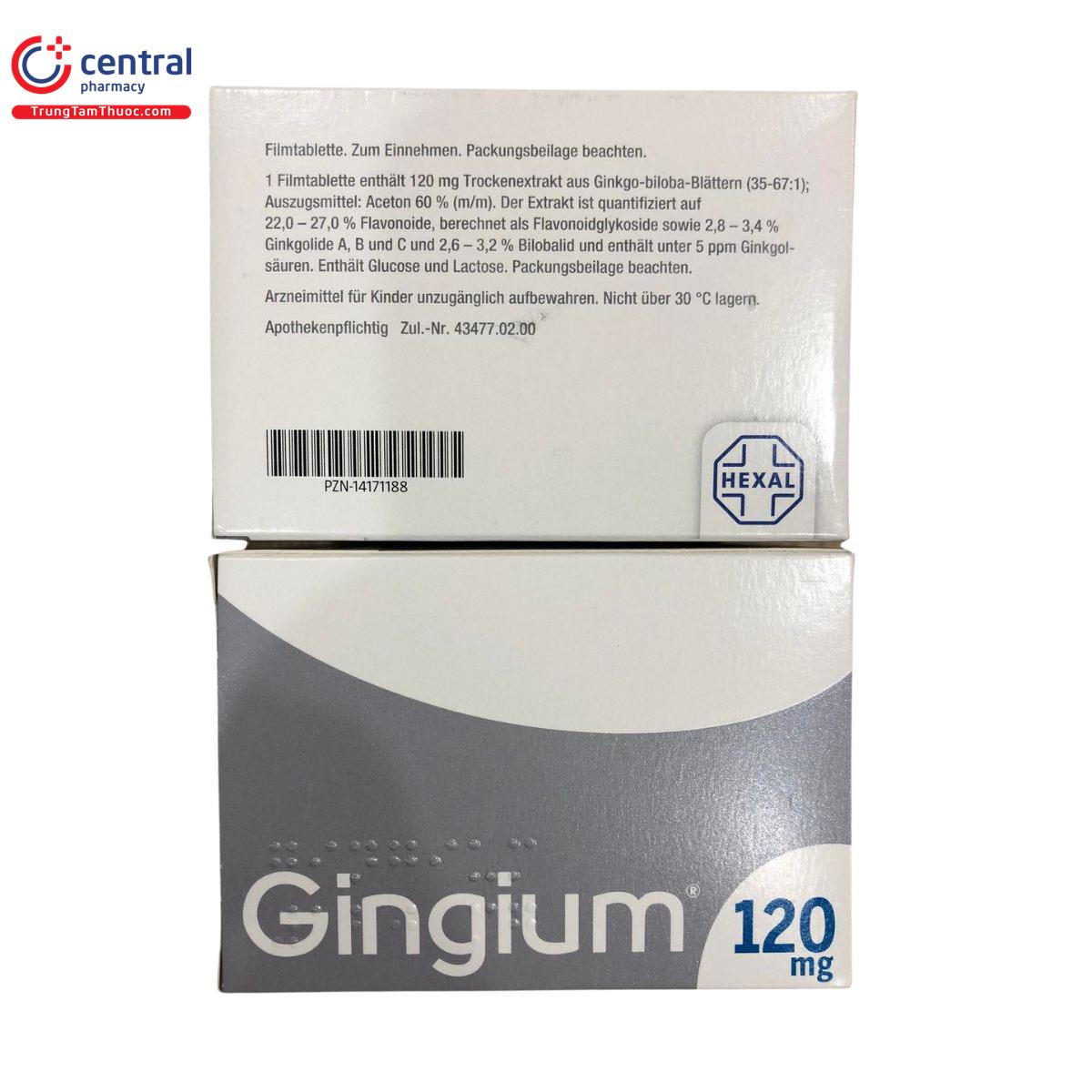 gingium 120mg 7 B0372