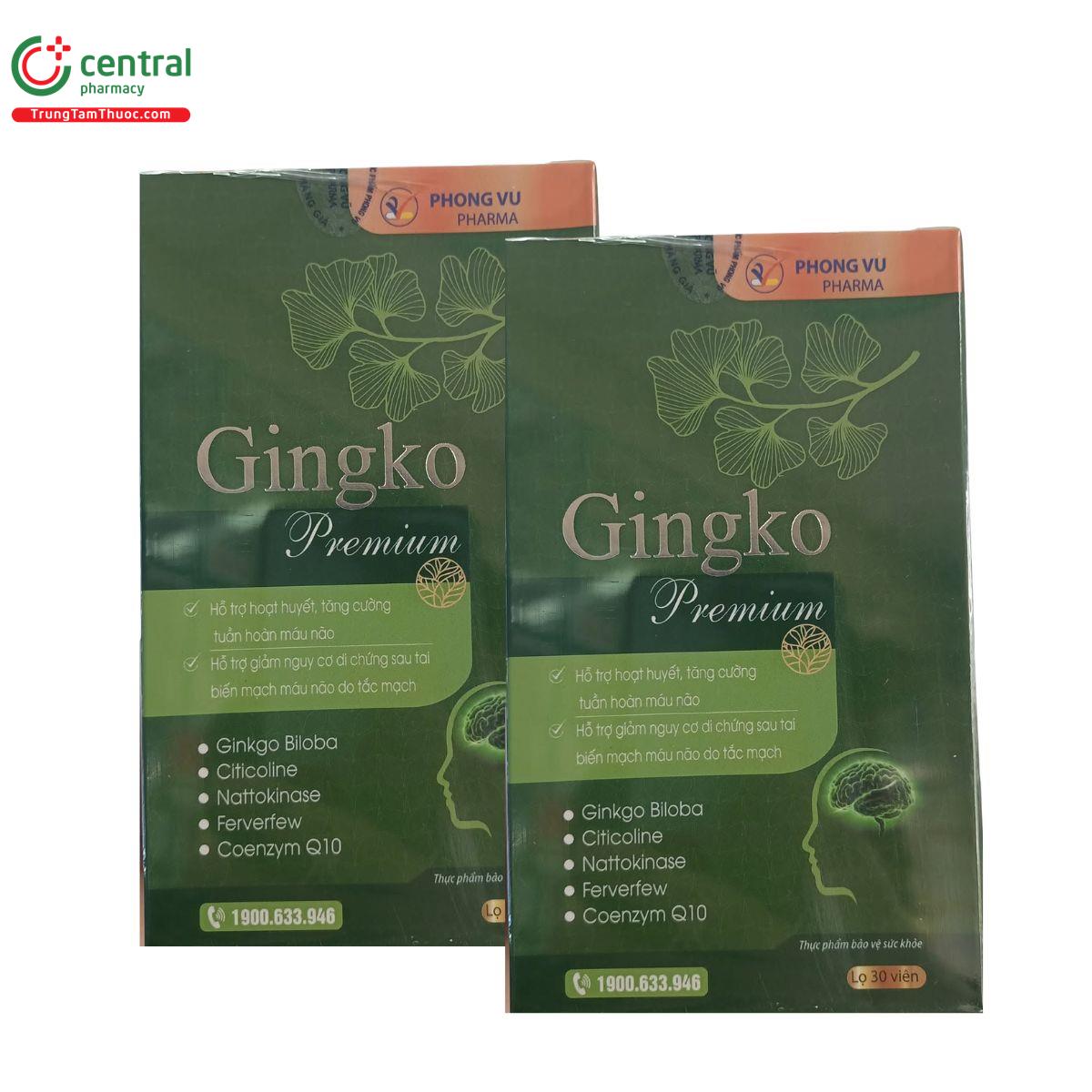 gingko premium 2 M5321 gingko premium 2 M5321