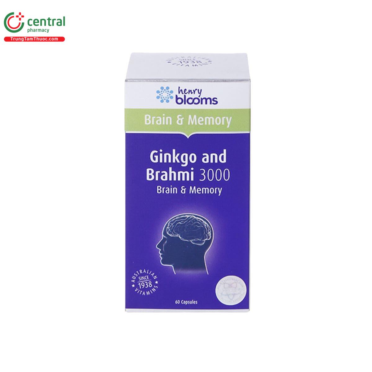 ginkgo and brahmi 3000 4 B0581