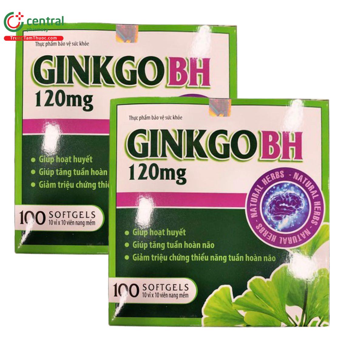 ginkgo bh 2 C1806 ginkgo bh 2 C1806