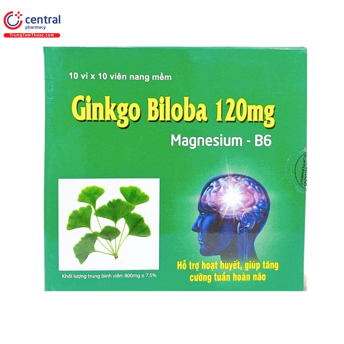 ginkgo biloba 120mg thanh hang 2 N5101