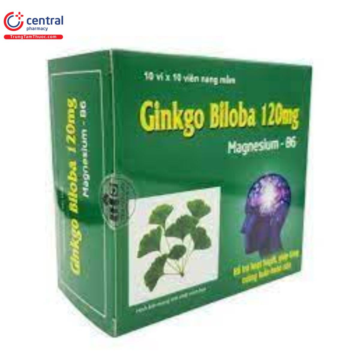 ginkgo biloba 120mg thanh hang 3 E1474