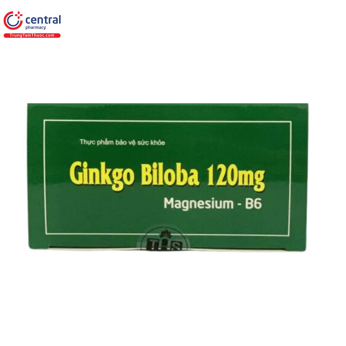 ginkgo biloba 120mg thanh hang 6 Q6833