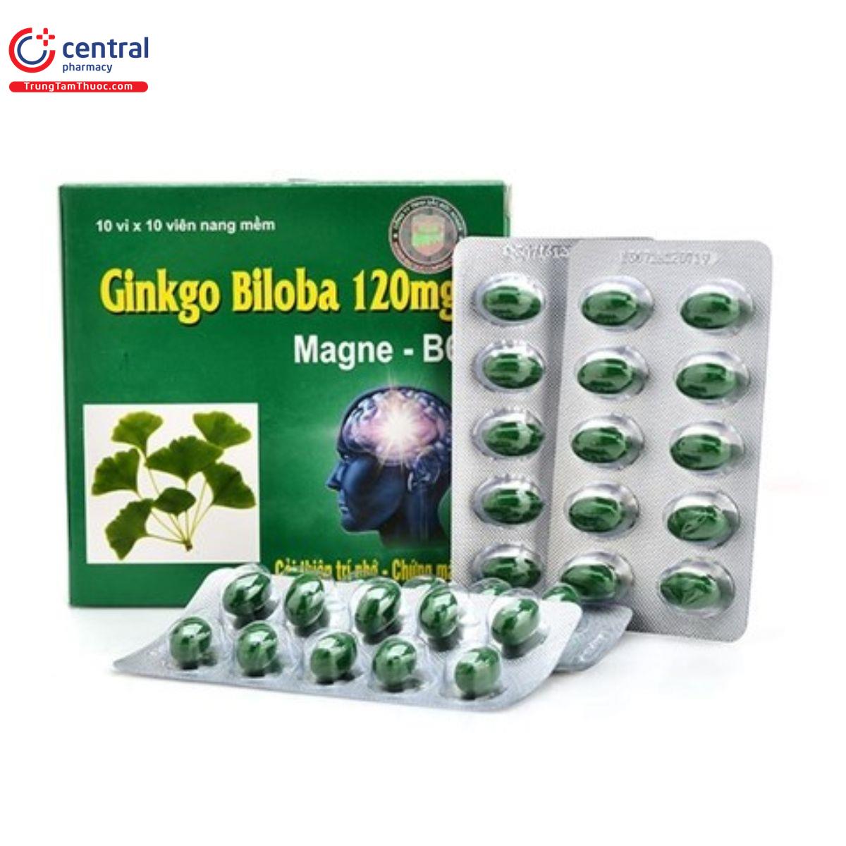 Ginkgo Biloba 120mg là thuốc gì? Công Dụng, Cách Dùng và Lợi Ích Sức Khỏe