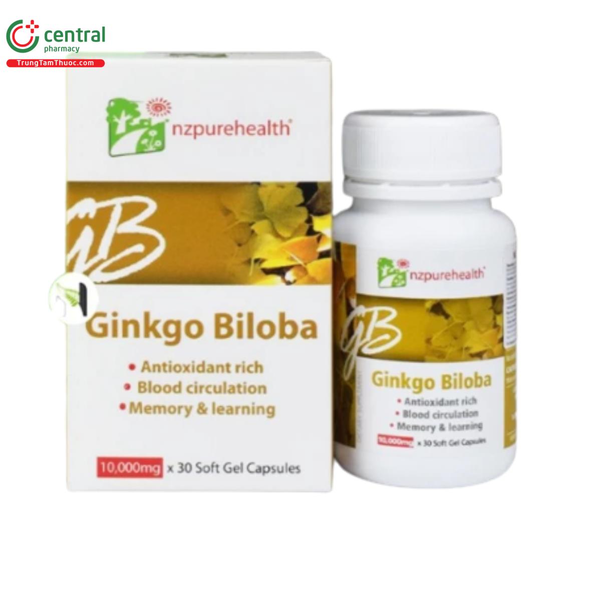 ginkgo biloba 2 J3022 ginkgo biloba 2 J3022