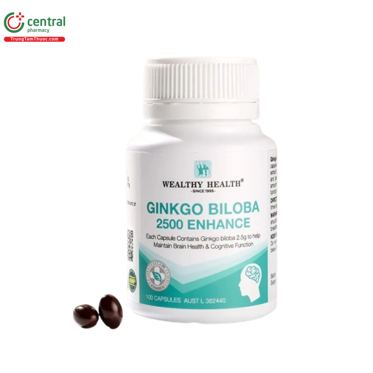 ginkgo biloba 2500 enhance 1 D1651 ginkgo biloba 2500 enhance 1 D1651