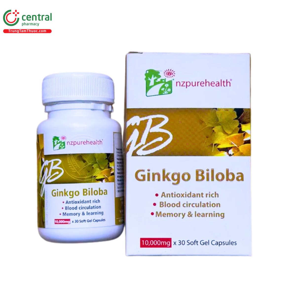 ginkgo biloba 3 P6658 ginkgo biloba 3 P6658