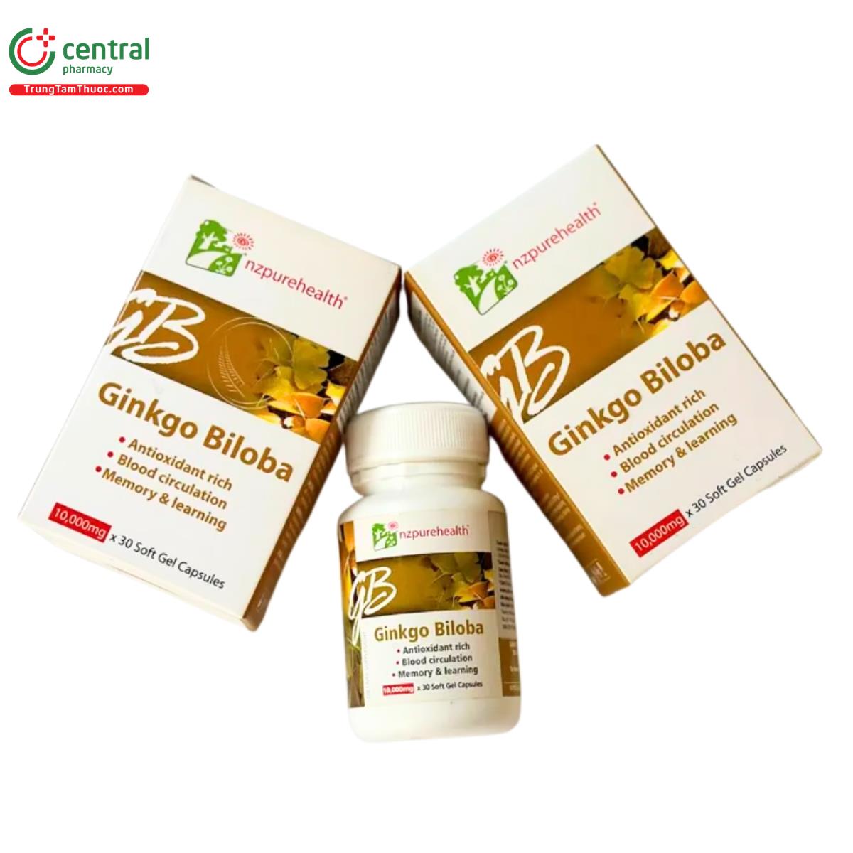 ginkgo biloba 4 I3010 ginkgo biloba 4 I3010