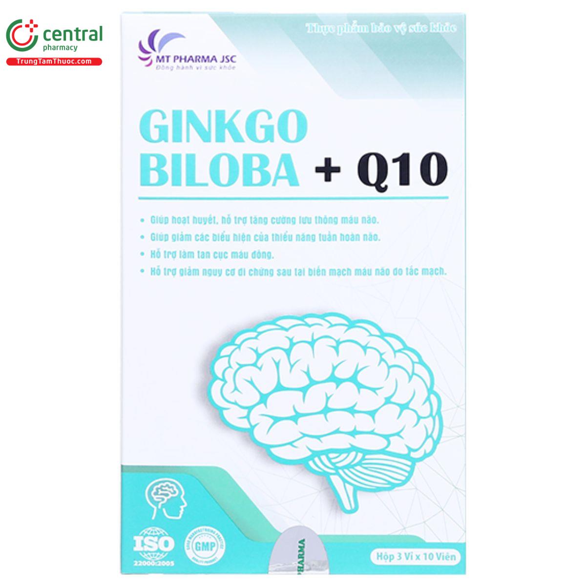 ginkgo biloba q10 6 E1331