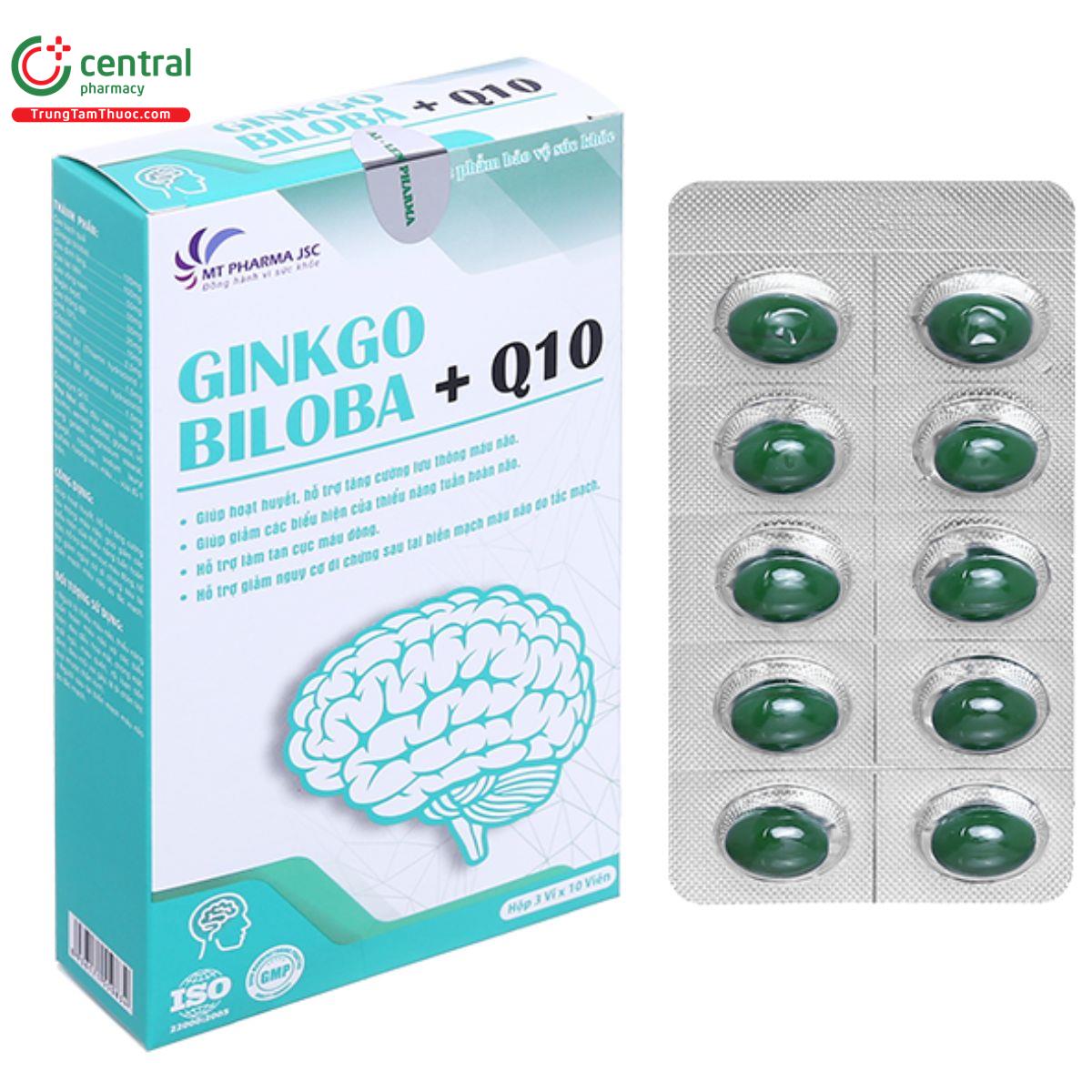 ginkgo biloba q10 9 K4165