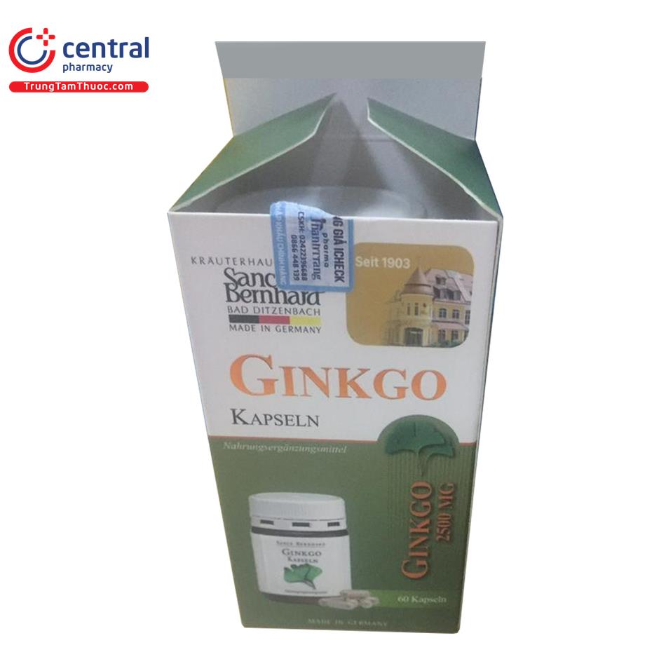 ginkgo kapseln 100mg 6 N5435