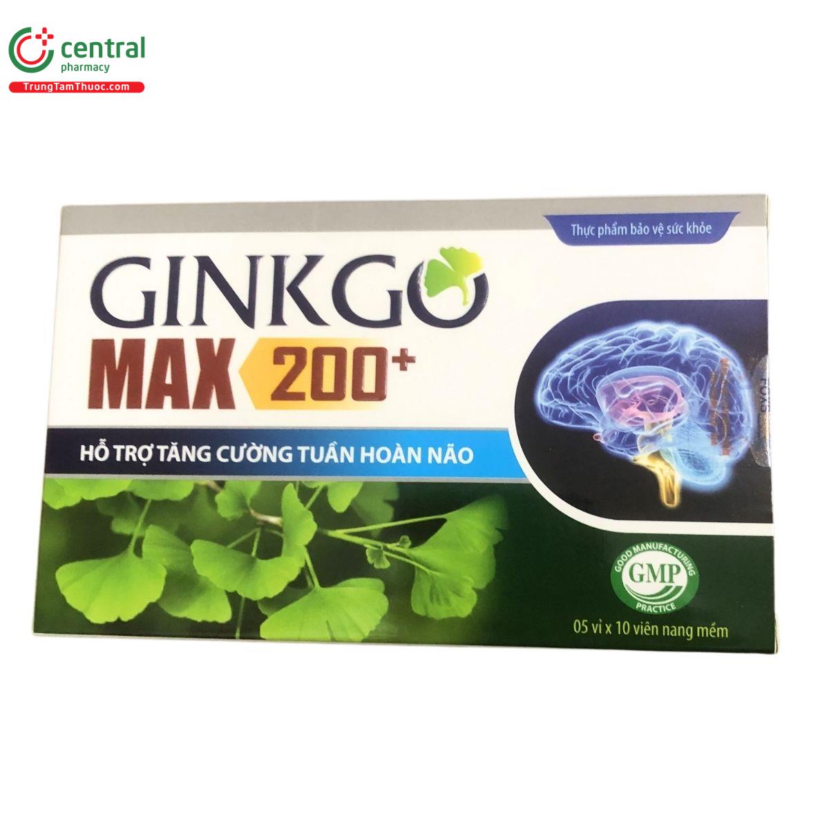 ginkgo max 200 2 T7623