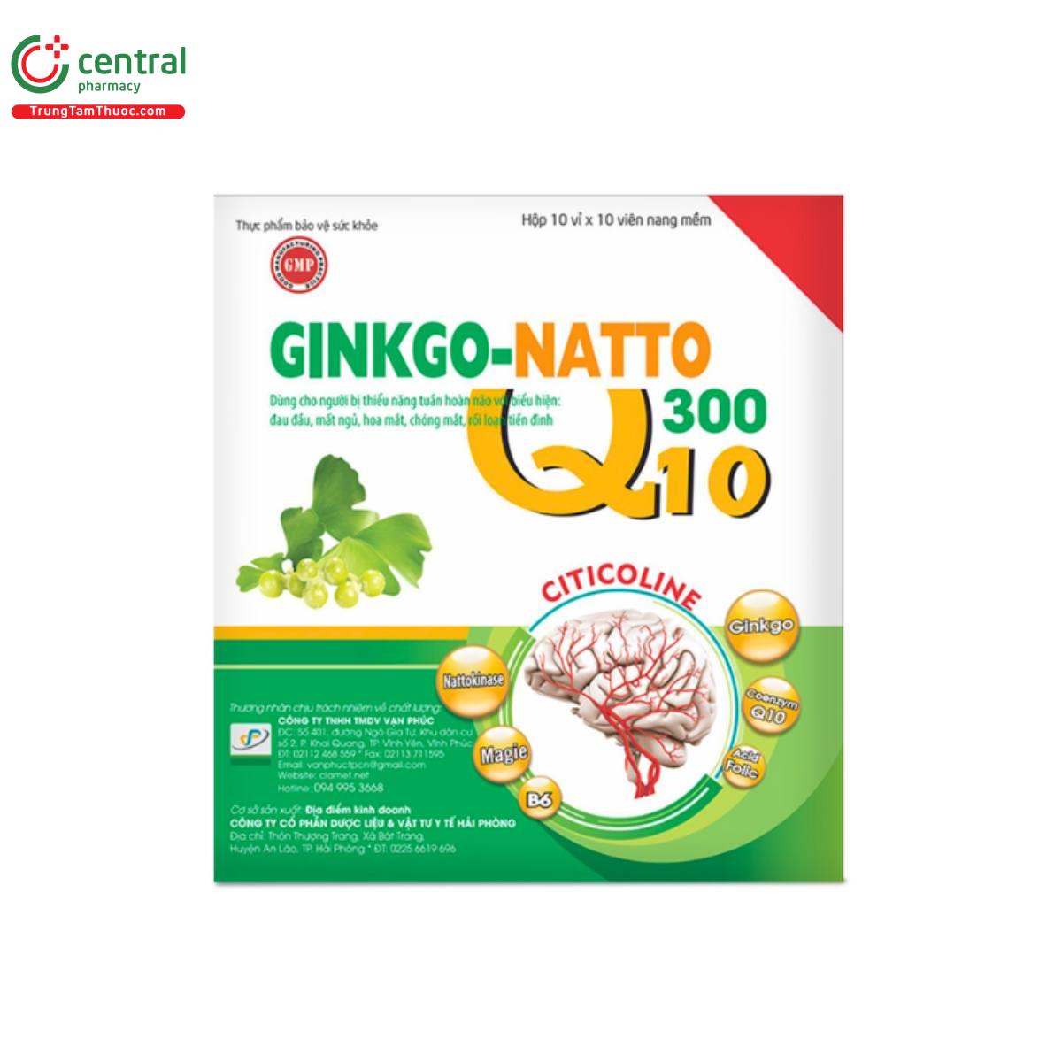 ginkgo natto 300 q10 3 G2222