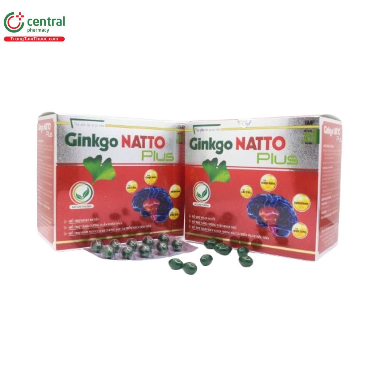 ginkgo natto plus nature pharma 2 O5178