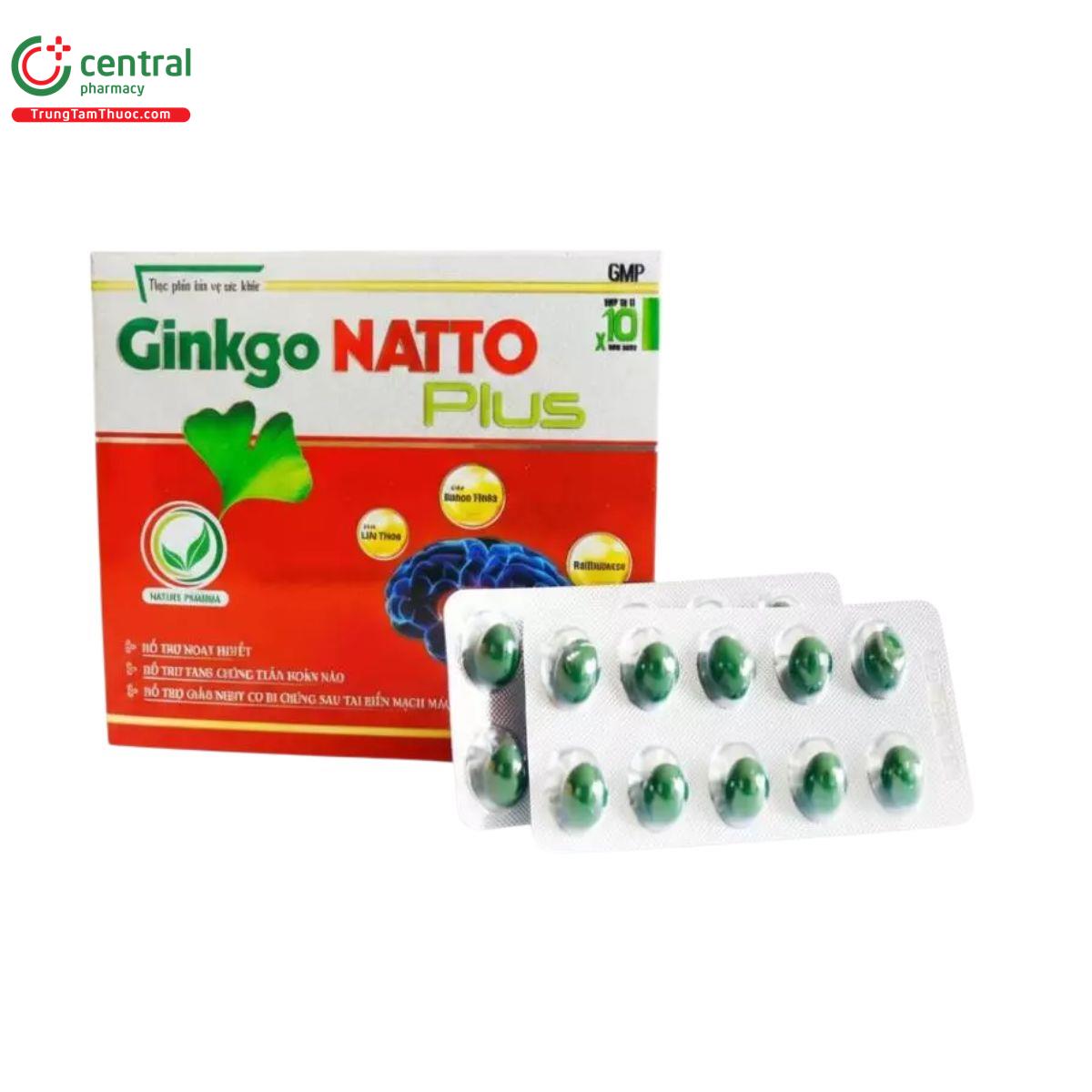 ginkgo natto plus nature pharma 4 E1352