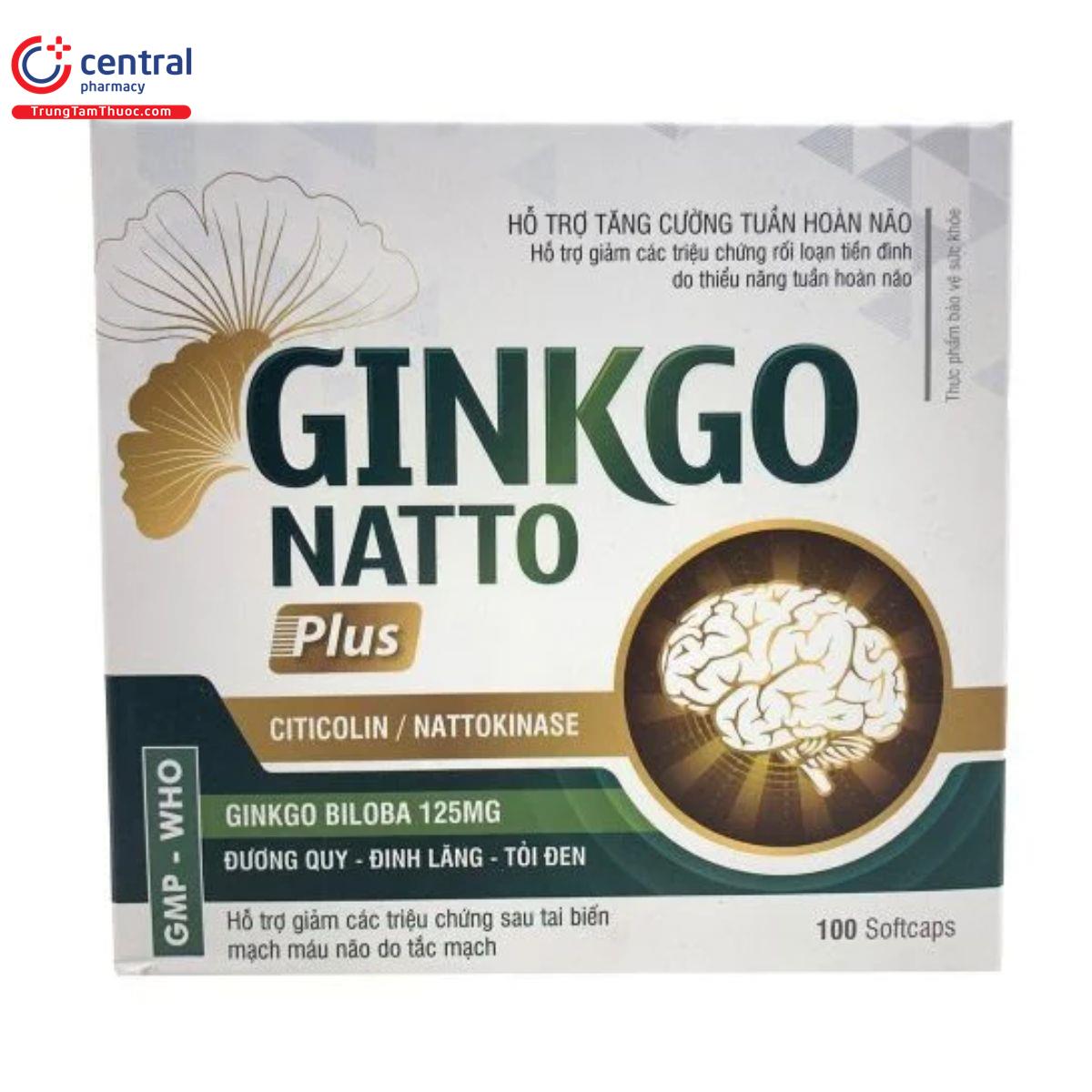 ginkgo natto plus vinaphar 2 L4303