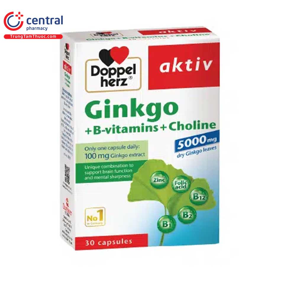 ginkgo vitamin b choline 2 G2481