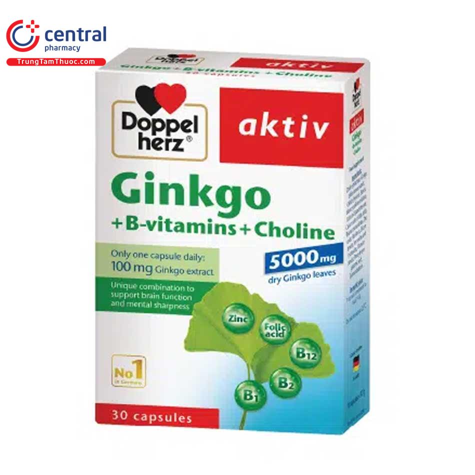 ginkgo vitamin b choline 4 D1423