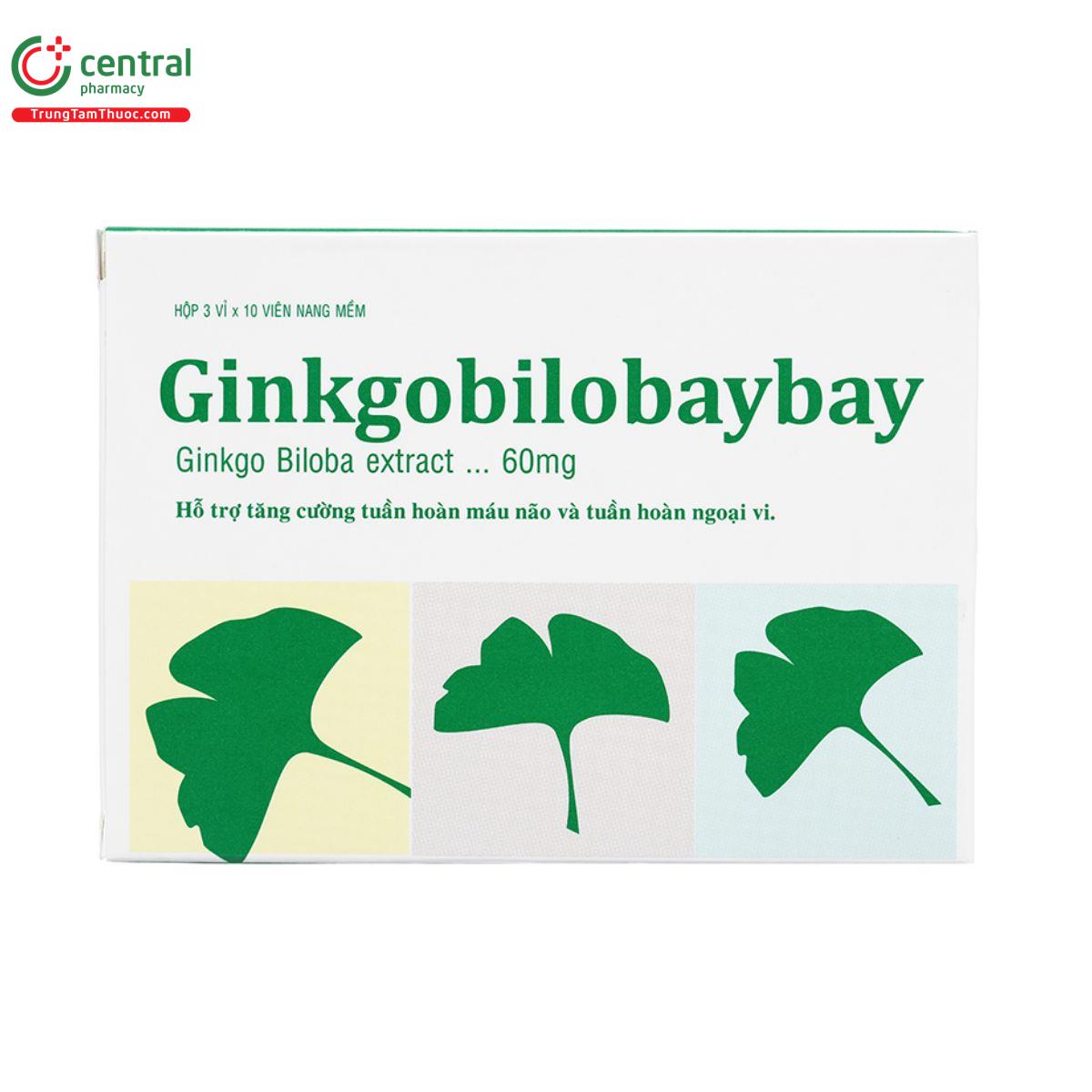 ginkgobilobaybay 1 F2686