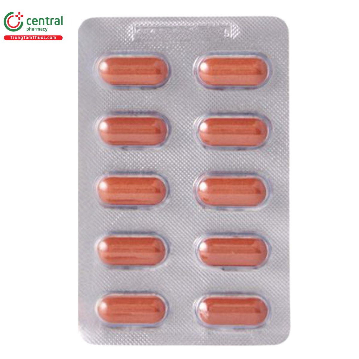 ginkgomax pharmacity 1 T8434 ginkgomax pharmacity 1 T8434
