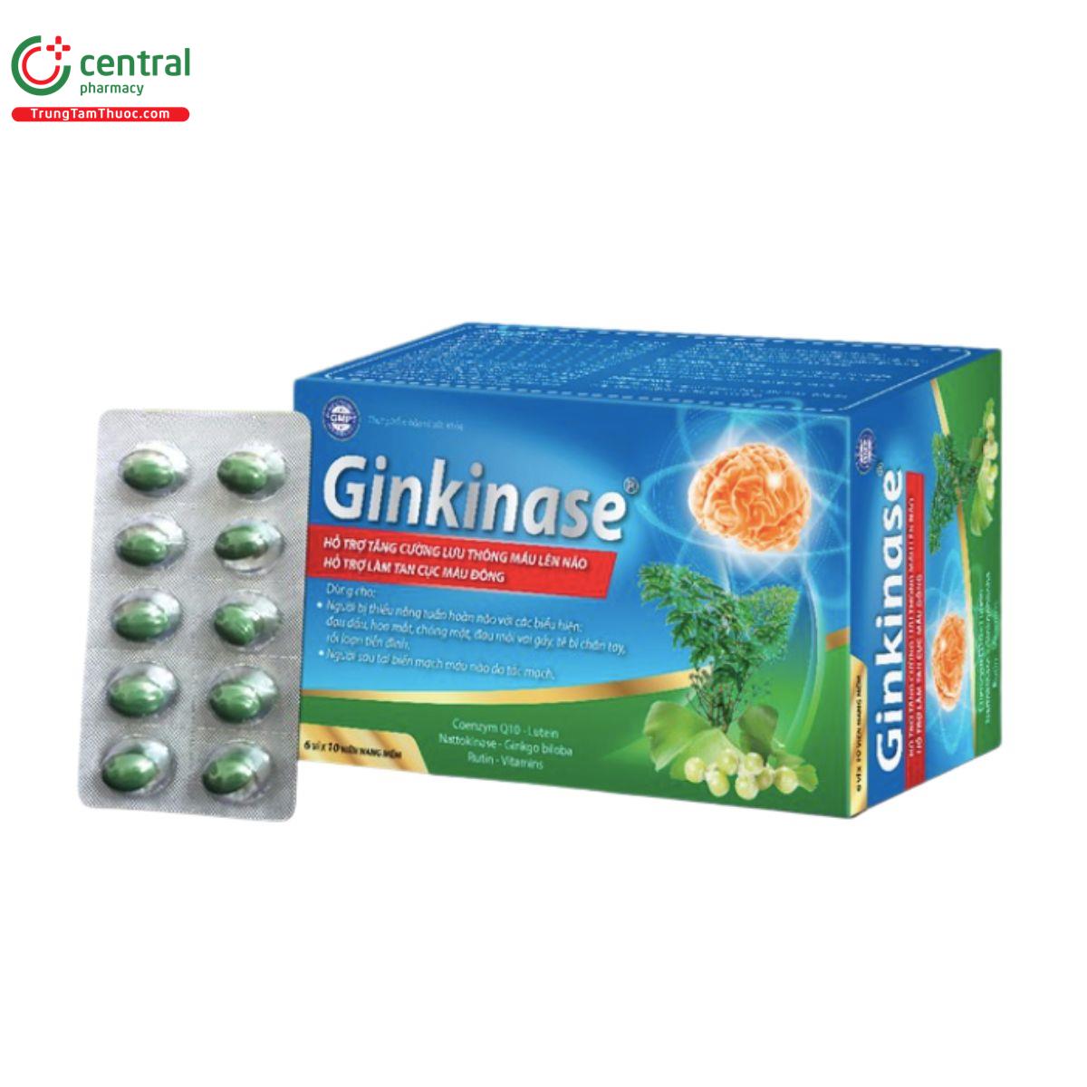 ginkinase 1 A0308