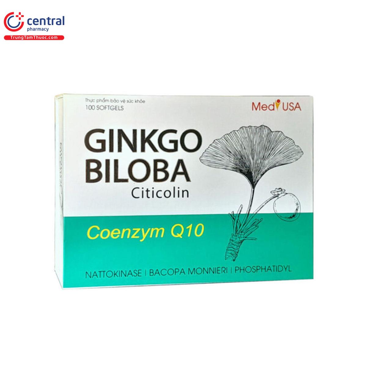 GINKO BILOBA Citicolin Coenzym Q10