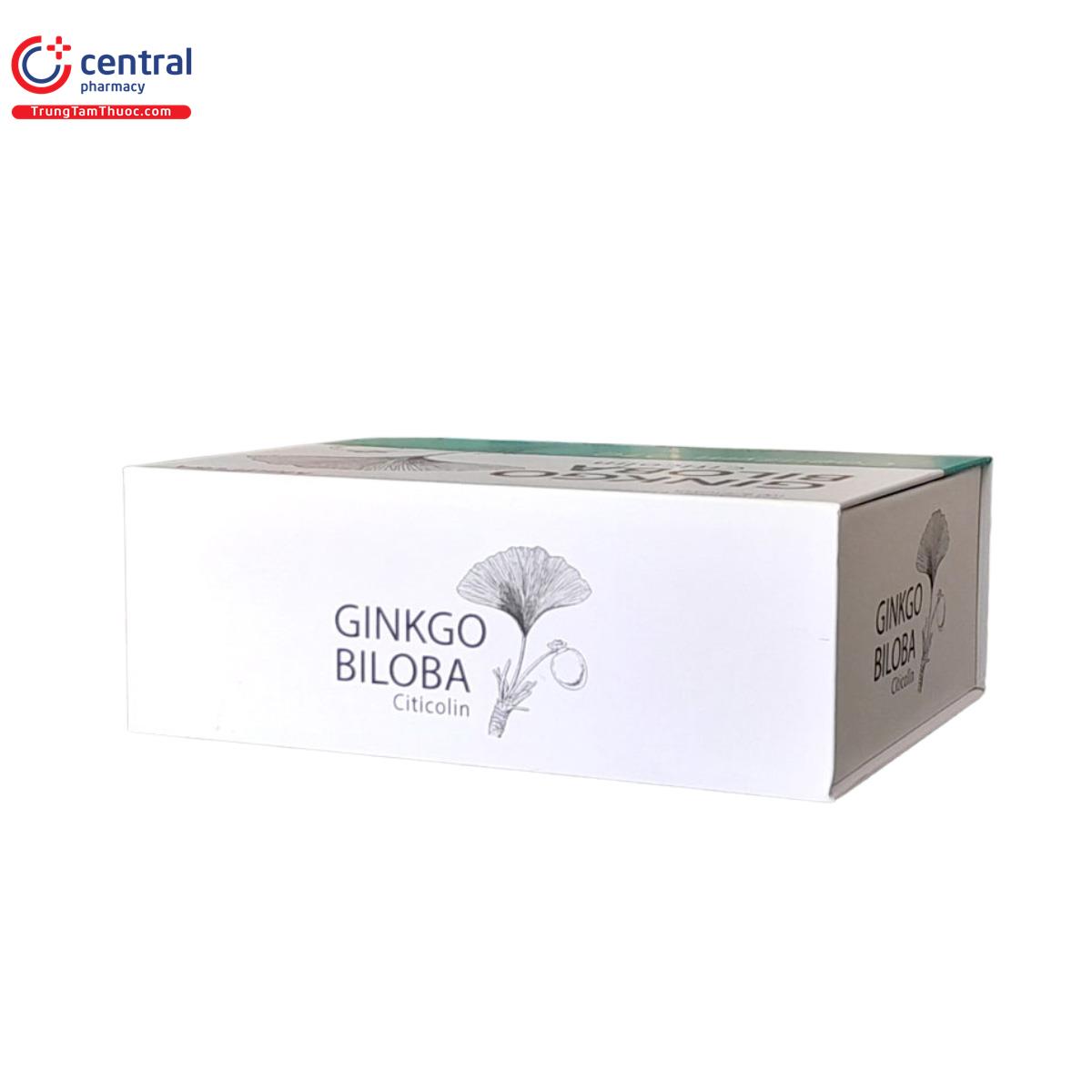 GINKO BILOBA Citicolin Coenzym Q10