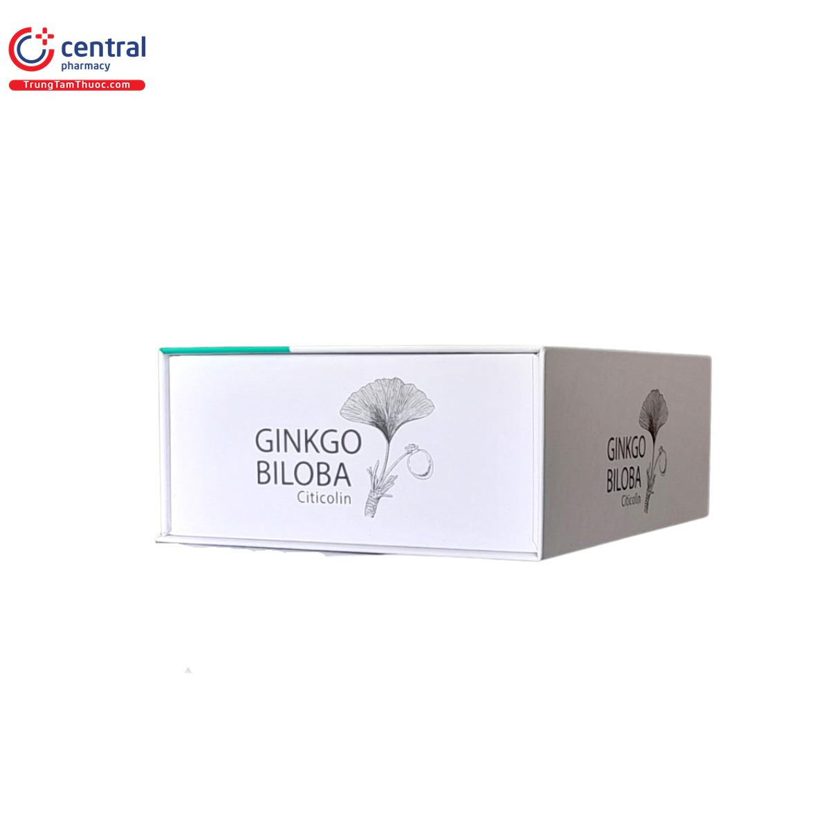 GINKO BILOBA Citicolin Coenzym Q10