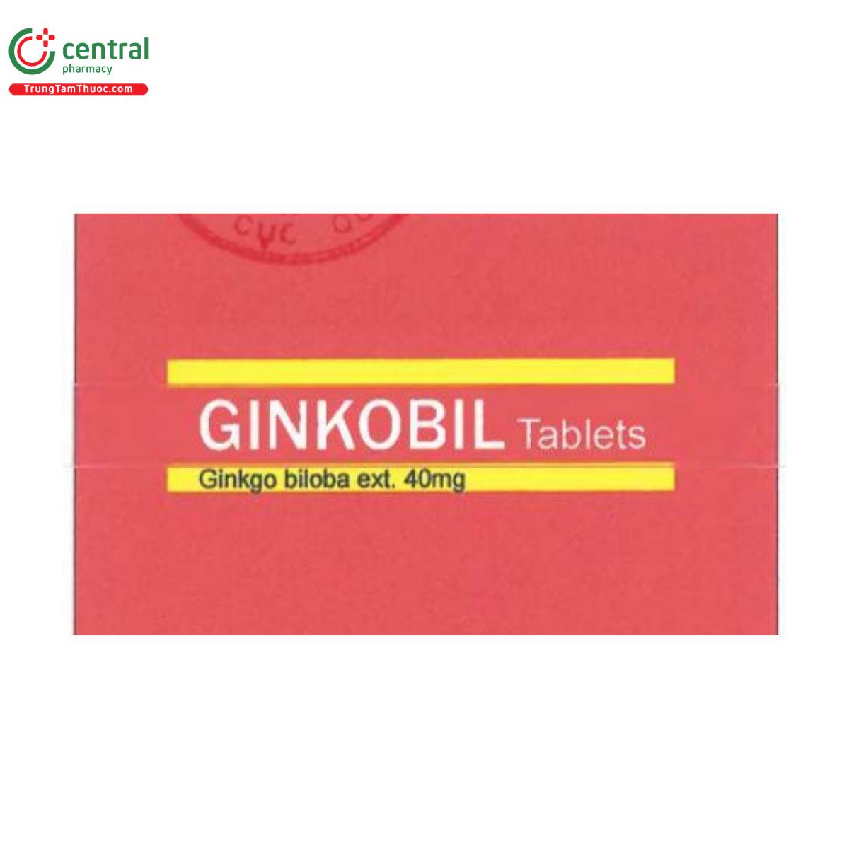 ginkobil 40mg theragen 4 C1743