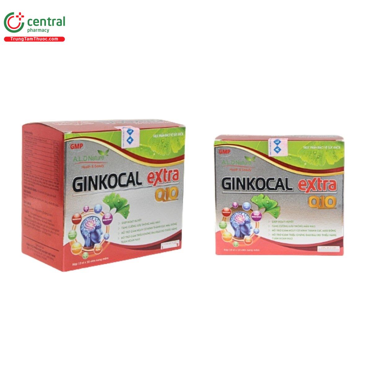 ginkocal extra q10 2 E1308