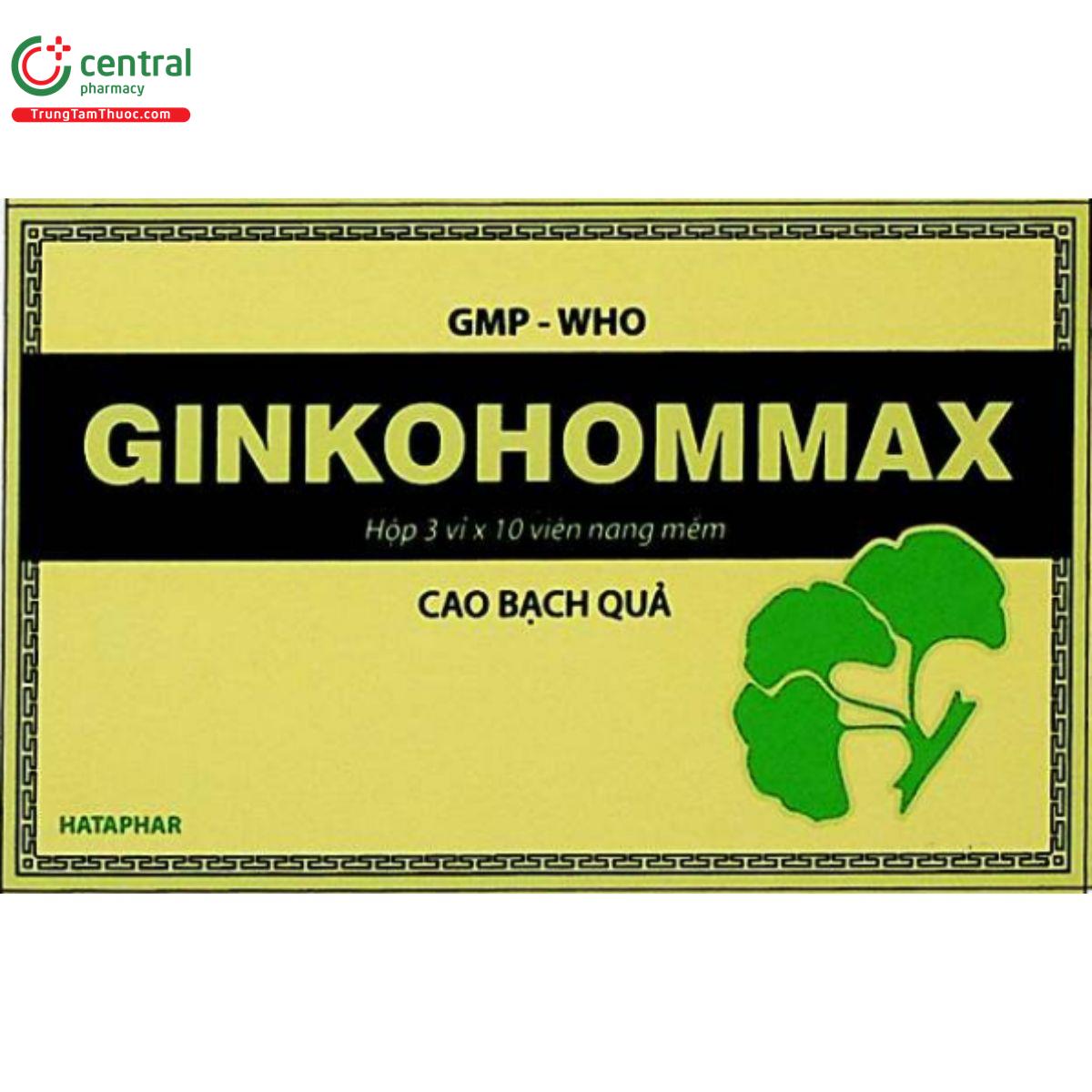 ginkohommax 2 V8524 ginkohommax 2 V8524