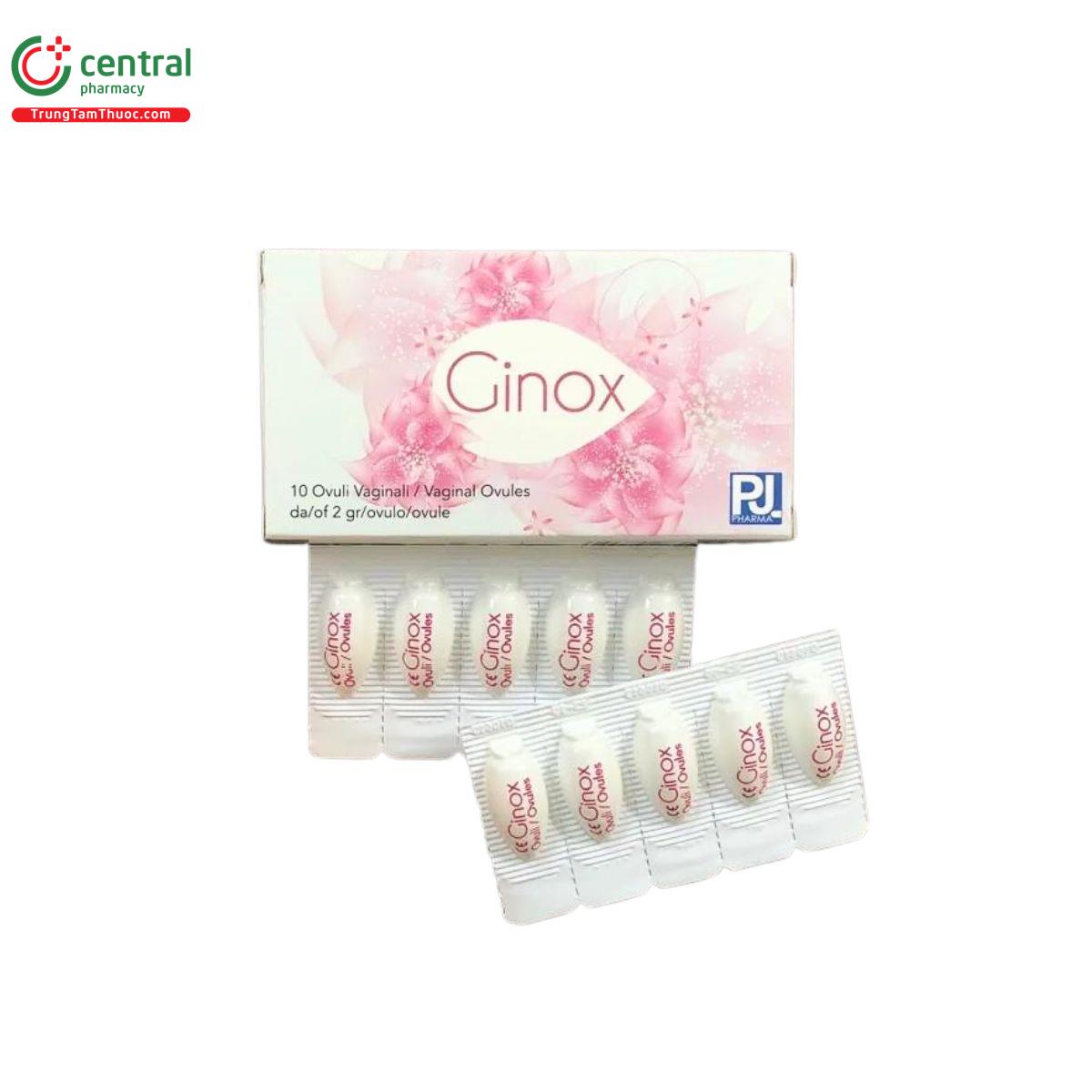 ginox 2 P6553